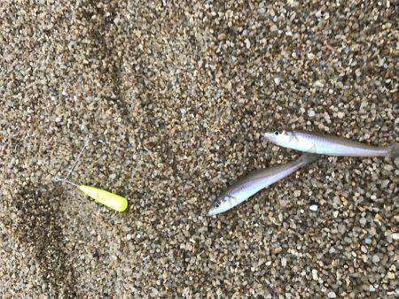 豆チャリコの猛攻に!