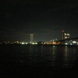 まだまだ懲りずにメバリング