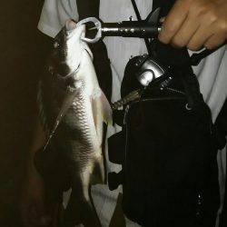 台風前に底物調査！