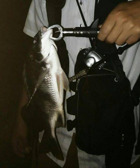 台風前に底物調査！