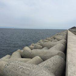 ツバスは何処へ