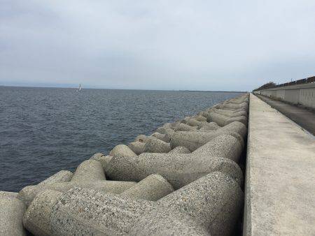 ツバスは何処へ