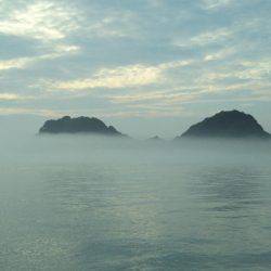 阿南市の辰巳でタチウオテンヤ