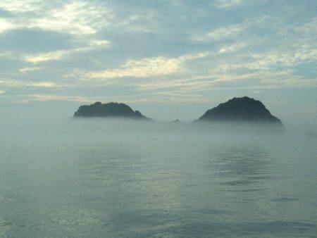 阿南市の辰巳でタチウオテンヤ