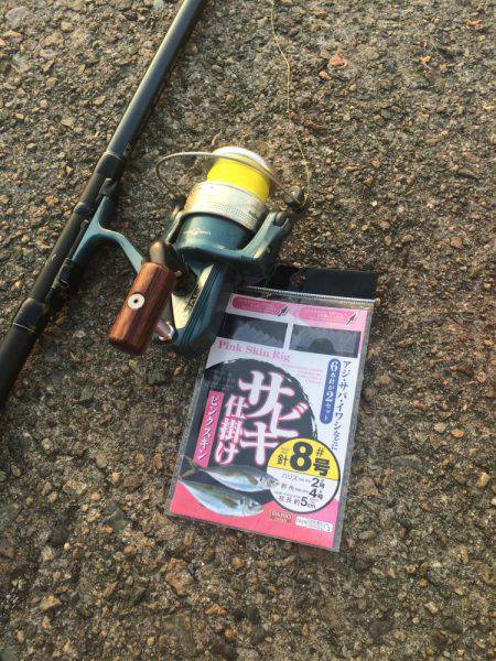 アジ釣り⑪