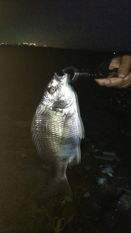 台風前に底物調査！