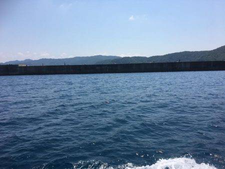 シイラゲーム♫