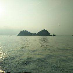 阿南市の辰巳でタチウオとツバス