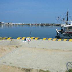 富島港でキス釣り