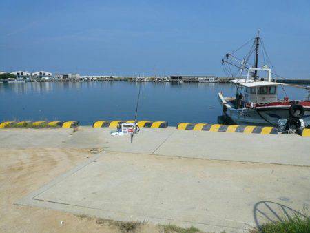 富島港でキス釣り