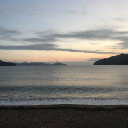 豆チャリコの猛攻に!