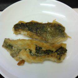 淀川に魚いました！！