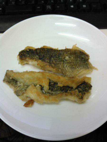 淀川に魚いました！！