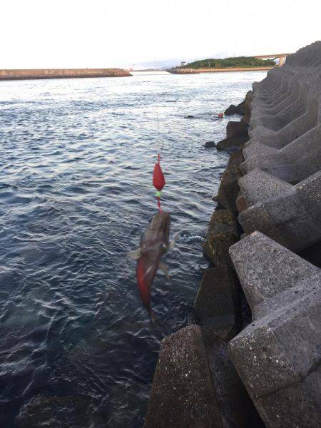 家族が寝ているうちに