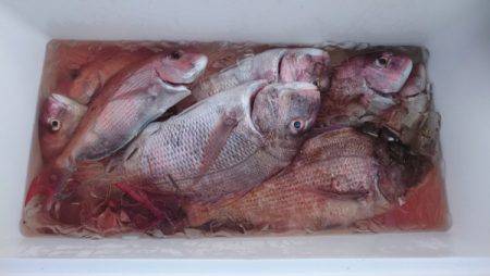 釣り船武蔵 釣果