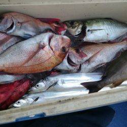 釣り船武蔵 釣果