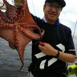 横内丸 釣果