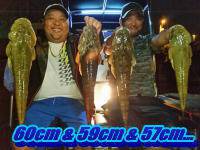 オーシャンマスター 釣果