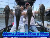 オーシャンマスター 釣果