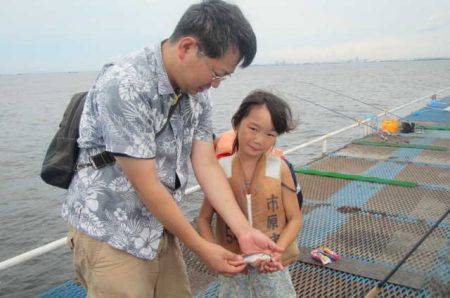 オリジナルメーカー海づり公園(市原市海づり施設) 釣果