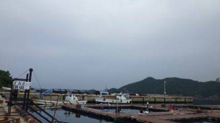 淡路じゃのひれフィッシングパーク 釣果