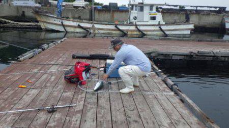 淡路じゃのひれフィッシングパーク 釣果