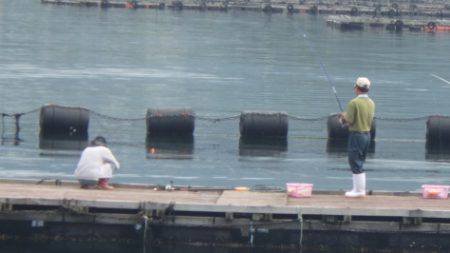 淡路じゃのひれフィッシングパーク 釣果