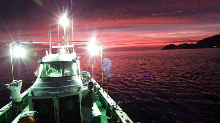 第三むつりょう丸 釣果