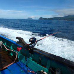 フィッシングハウス伊藤 釣果