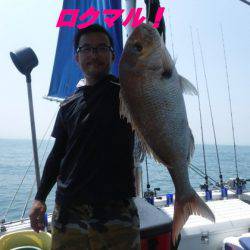 遊漁船 幸友丸 釣果