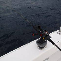 BlueNote Fishing Taxi 釣果