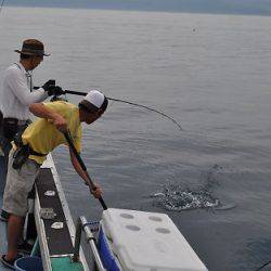 八海丸 釣果