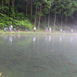 小菅トラウトガーデン 釣果