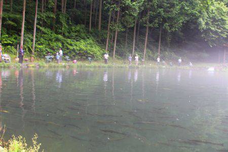 小菅トラウトガーデン 釣果