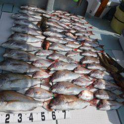 遊漁船 幸友丸 釣果