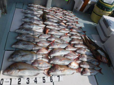 遊漁船 幸友丸 釣果