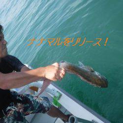 遊漁船 幸友丸 釣果