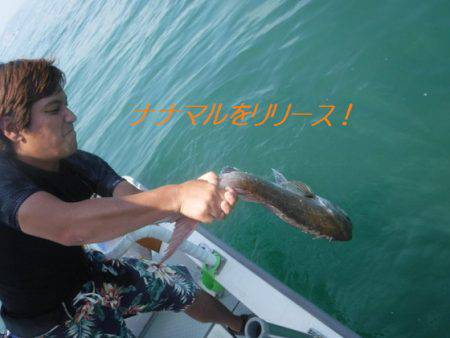 遊漁船 幸友丸 釣果