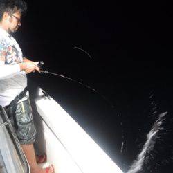 BlueNote Fishing Taxi 釣果