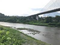 秩父フライフィールド 釣果