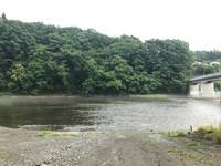 秩父フライフィールド 釣果