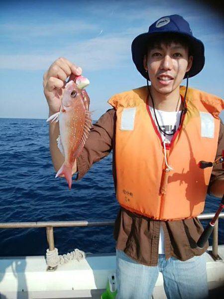海季丸（みきまる） 釣果