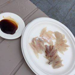 第二 海洋丸 釣果