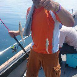 FISHING RISKY 釣果