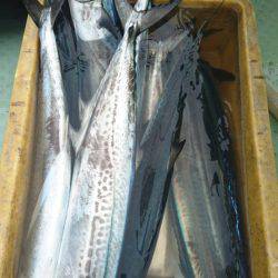 あみや渡船 JIGBOY 釣果