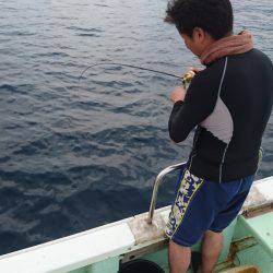 あみや渡船 JIGBOY 釣果