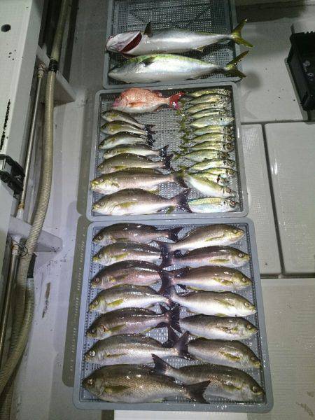 エンペラー 釣果