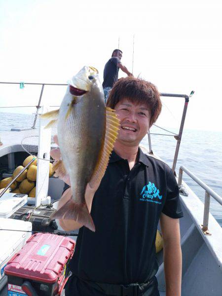 ありもと丸 釣果