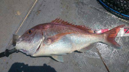 FISHING RISKY 釣果