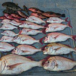 FISHING RISKY 釣果